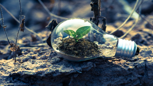 La différence entre l'économie circulaire et l'économie linéaire