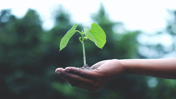 Les Objectifs de Développement Durable