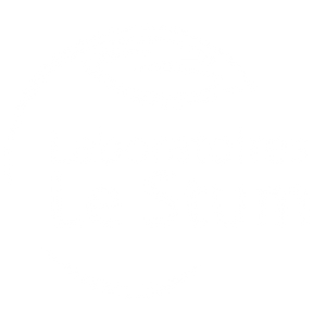 Logo partenaire